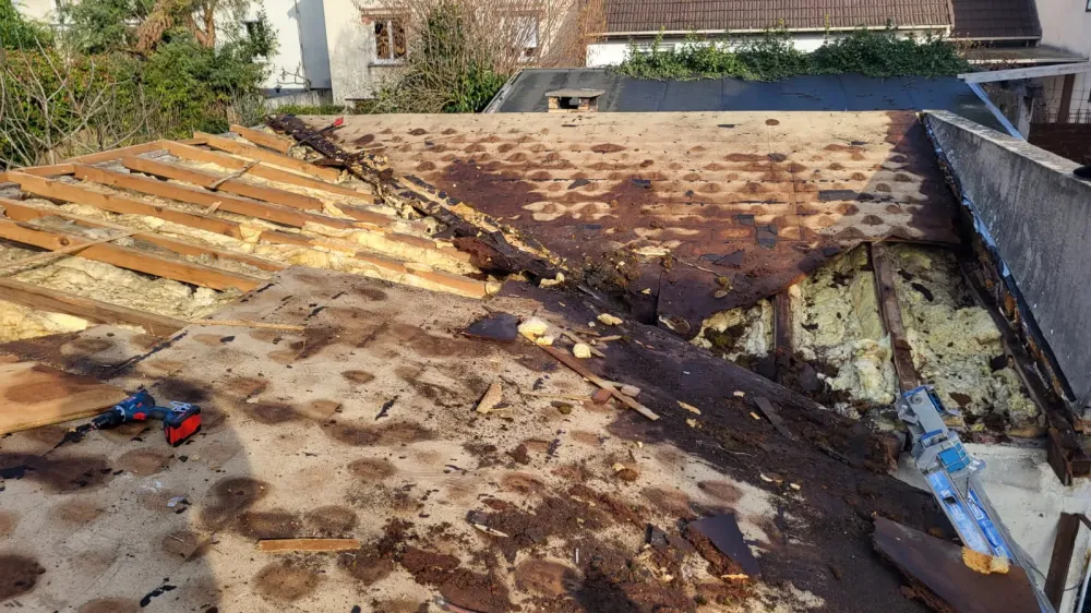 original-382A1346-6554-4F09-A04A-F2A424234C60